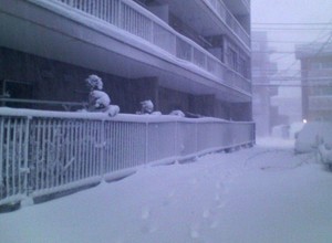 20081226-00.jpg