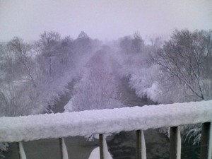 20081226-03.jpg