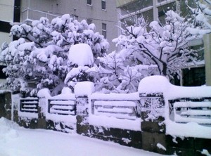 20081228-01.jpg