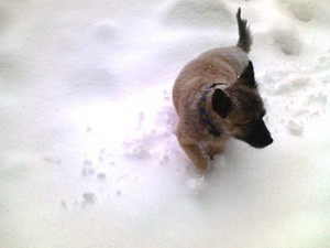 20081231-01.jpg