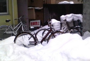 20090108-01.jpg