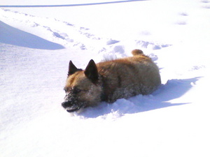 20090110-05.jpg