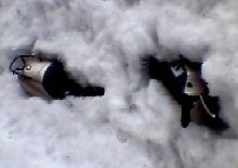 20090110-06.jpg