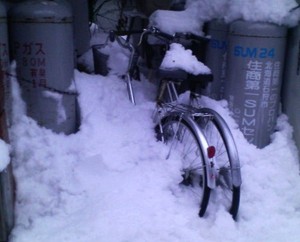 20090110-07.jpg