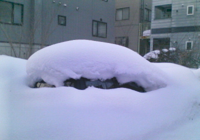 20090114-00.jpg