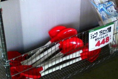 20090114-01.jpg