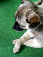 20090115-00.jpg