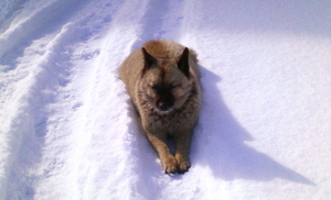 20090119-01.jpg