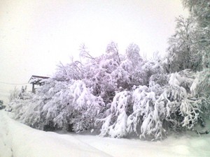 20090120-00.jpg