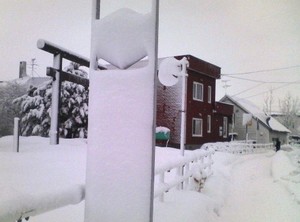 20090120-03.jpg