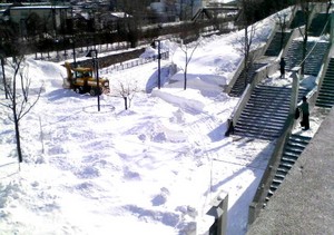 20090301-01.jpg