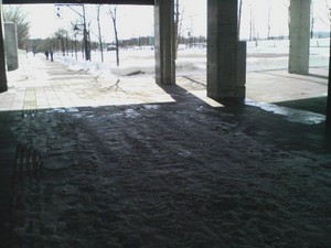 20090301-03.jpg