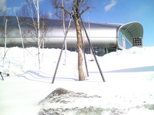 20090301-04.jpg