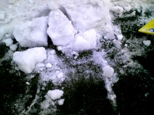 20090301-11.jpg