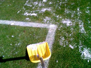 20090301-17.jpg