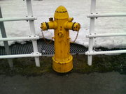 20090321-02.jpg