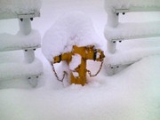 20090321-03.jpg