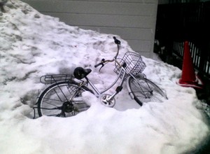 20090321-05.jpg