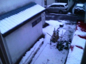 20090330-01.jpg