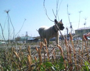 20090502-00.jpg