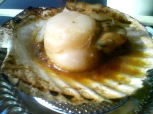 20090509-04.jpg