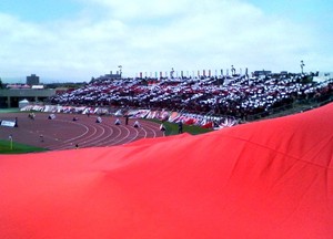 20090529-12.jpg