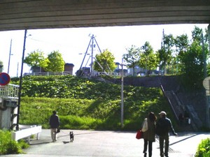 20090530-02.jpg