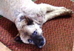 20090919-00.jpg