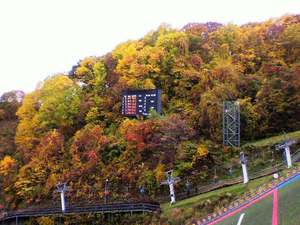 20091021-02.jpg