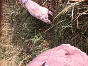 20091031-03.jpg