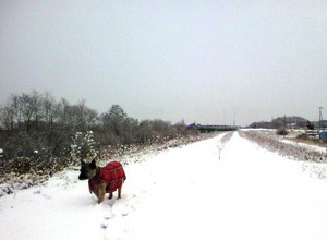 20091128-03.jpg