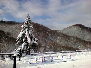 20100104-00.jpg