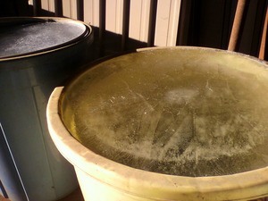 20100106-00.jpg