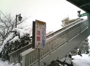 20100106-03.jpg
