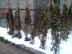 20100106-07.jpg
