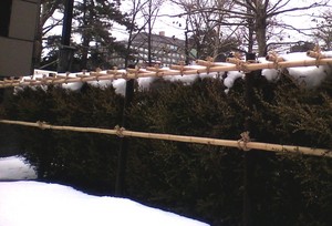20100106-08.jpg