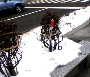 20100106-09.jpg
