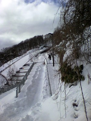 20100114-02.jpg