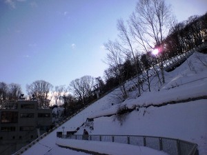 20100114-05.jpg
