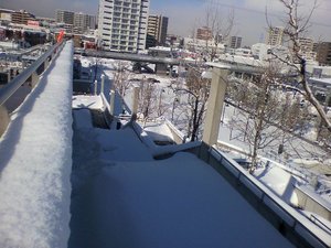 20100120-02.jpg