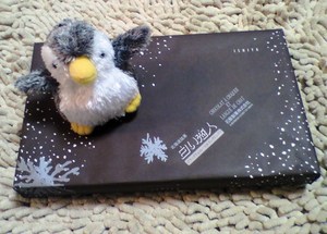 20100130-04.JPG