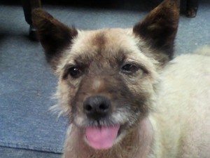 20100303-04.jpg