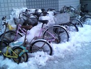 20100307-01.jpg