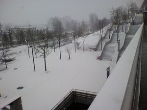 20100307-03.jpg