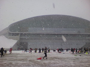 20100307-15.jpg