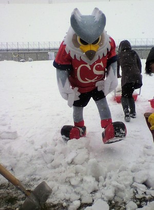 20100308-07.jpg