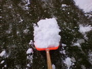 20100308-11.jpg