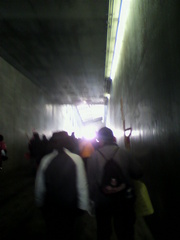 20100308-15.jpg
