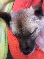 20100504-01.jpg
