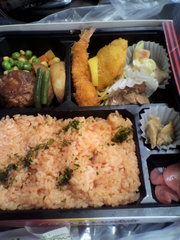 20100507-01.jpg